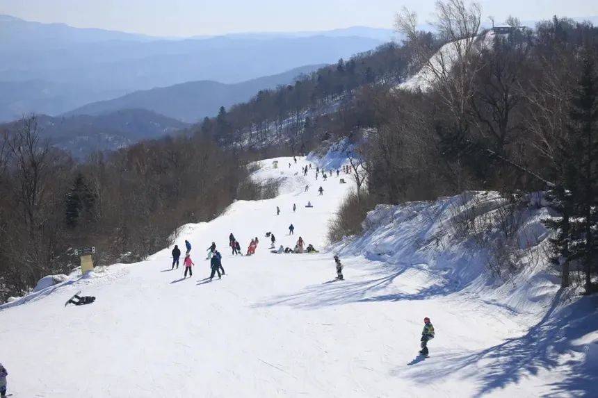 定了 ！  11月9日亚布力阳光滑雪场开板，  黑龙江正式进入滑雪季,滑雪
