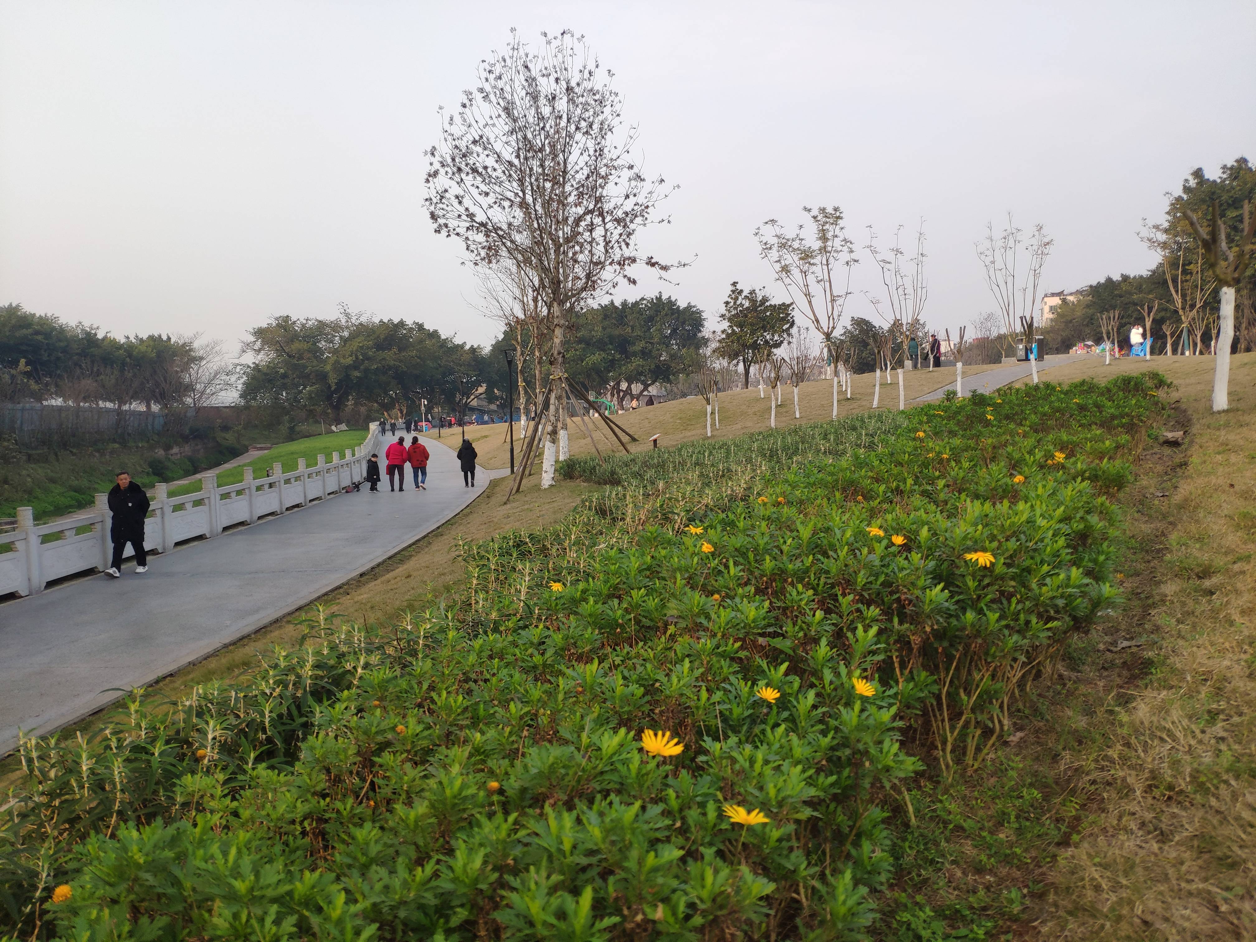 重庆白市驿镇半边街公园 休闲健身步道全长1.6公里