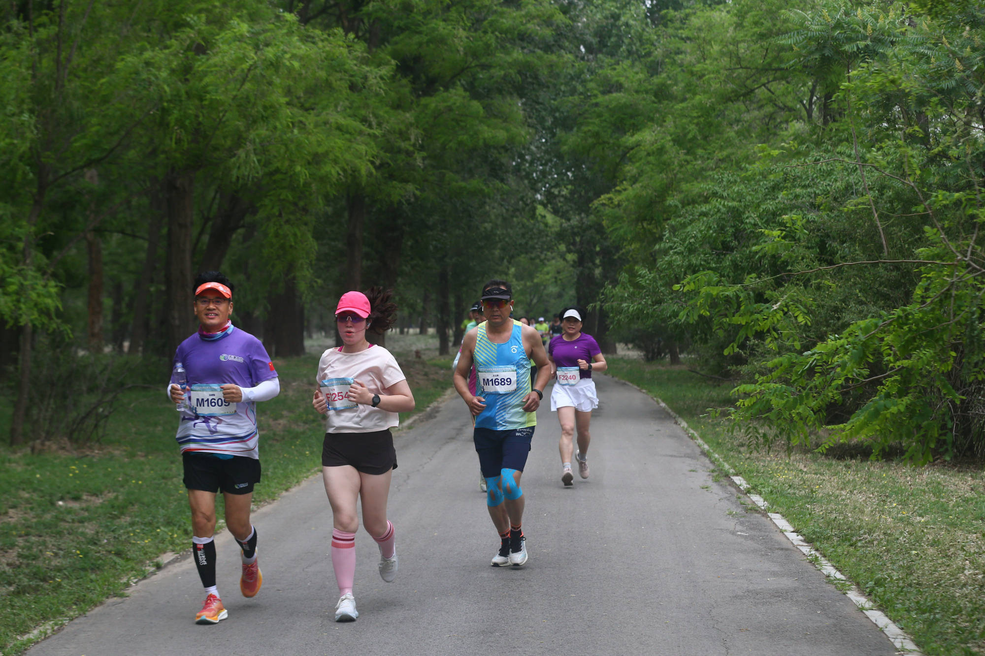 第三届京津冀青龙湾森林半程马拉松激情开跑